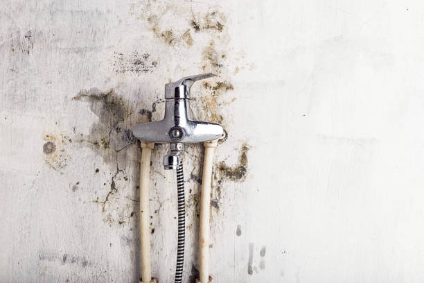 Best Mold Remediation  in Dinuba, CA