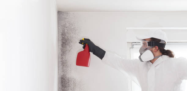 Best Crawl Space Mold Removal  in Dinuba, CA